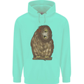 A Funny Owl Childrens Kids Hoodie Peppermint