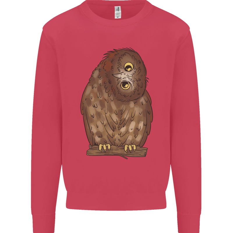 A Funny Owl Kids Sweatshirt Jumper Heliconia