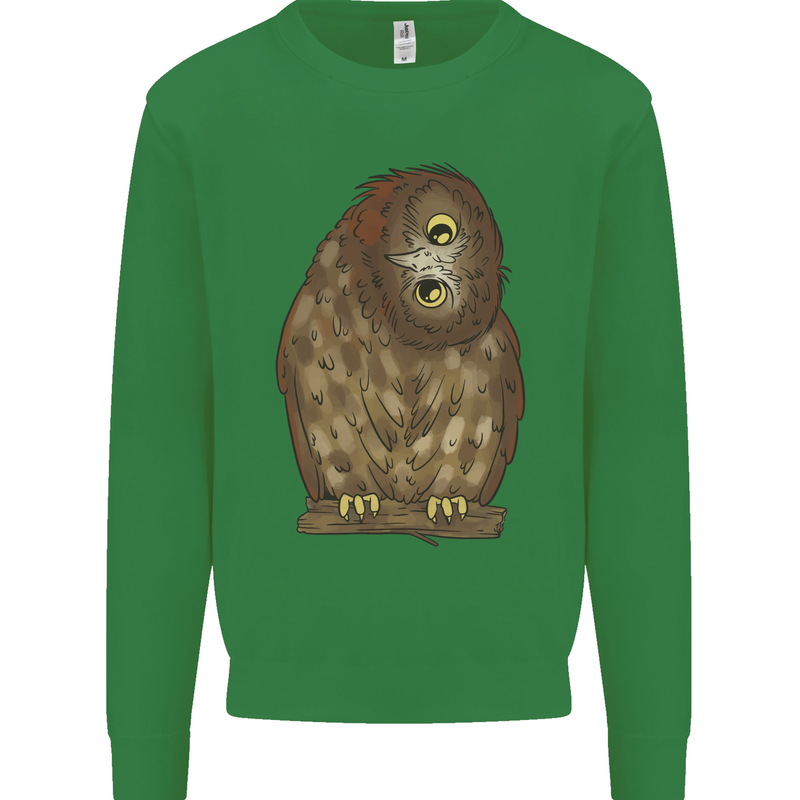 A Funny Owl Kids Sweatshirt Jumper Irish Green