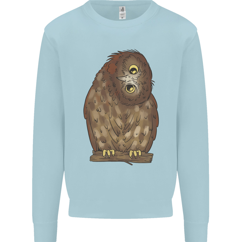 A Funny Owl Kids Sweatshirt Jumper Light Blue