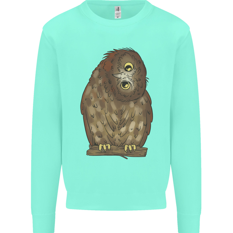 A Funny Owl Kids Sweatshirt Jumper Peppermint