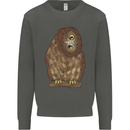 A Funny Owl Kids Sweatshirt Jumper Storm Grey