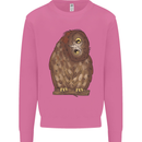 A Funny Owl Mens Sweatshirt Jumper Azalea