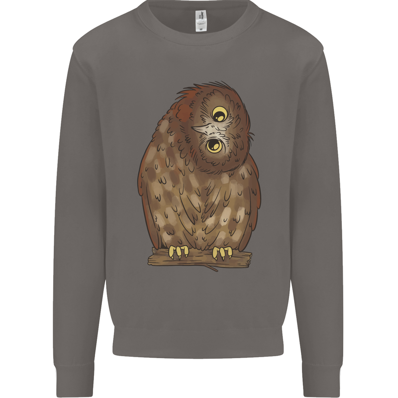 A Funny Owl Mens Sweatshirt Jumper Charcoal