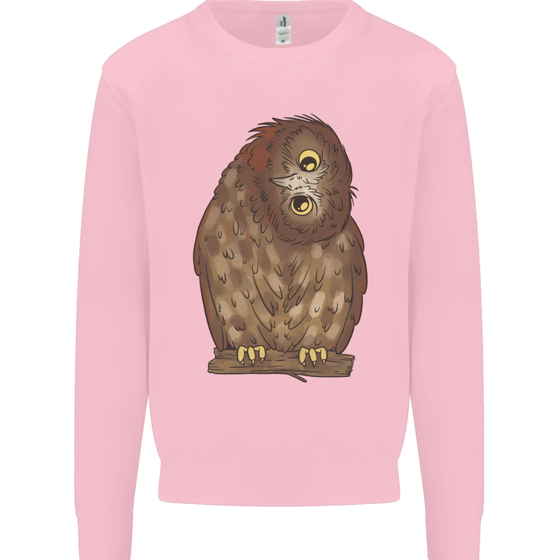 A Funny Owl Mens Sweatshirt Jumper Light Pink