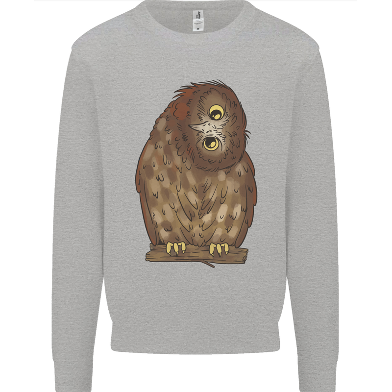 A Funny Owl Mens Sweatshirt Jumper Sports Grey
