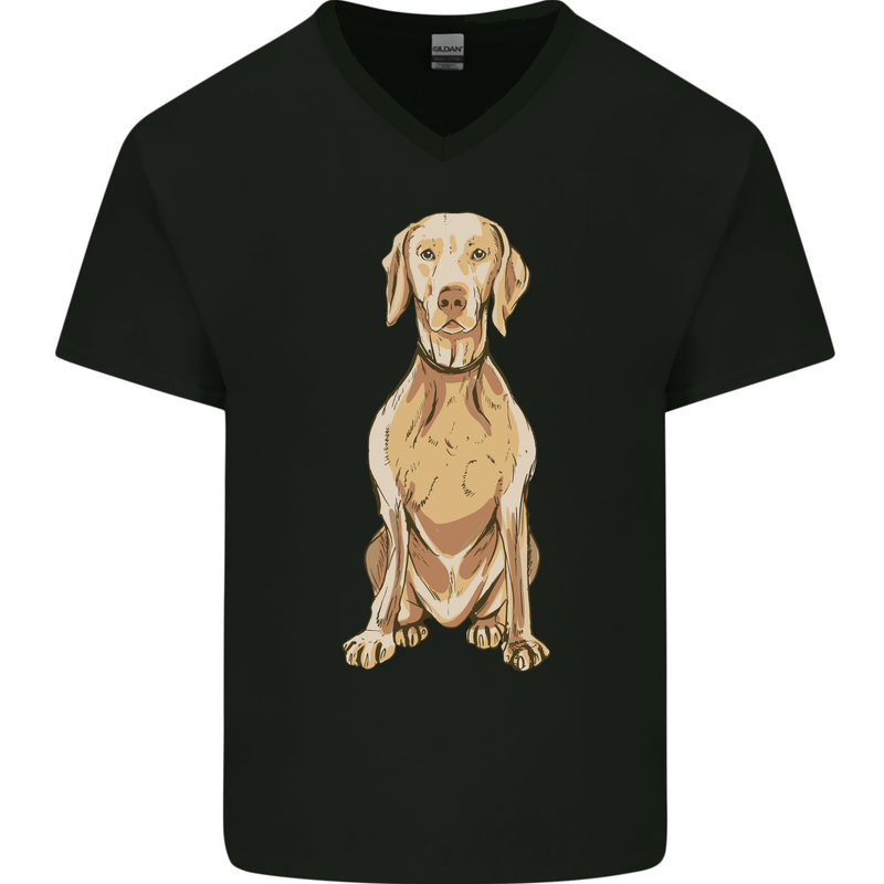 A Hungarian Vizsla Posing Dog Mens V-Neck Cotton T-Shirt Black