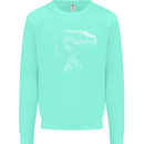 A Komodo Dragon Kids Sweatshirt Jumper Peppermint