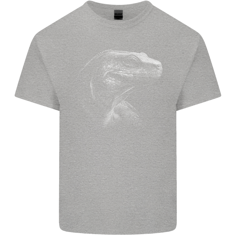A Komodo Dragon Mens Cotton T-Shirt Tee Top Sports Grey