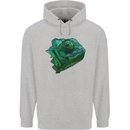 A Polygonal Chameleon Mens 80% Cotton Hoodie Sports Grey