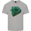 A Polygonal Chameleon Mens Cotton T-Shirt Tee Top Sports Grey