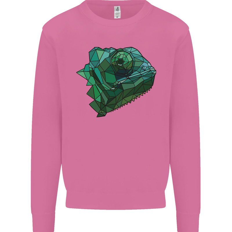 A Polygonal Chameleon Mens Sweatshirt Jumper Azalea