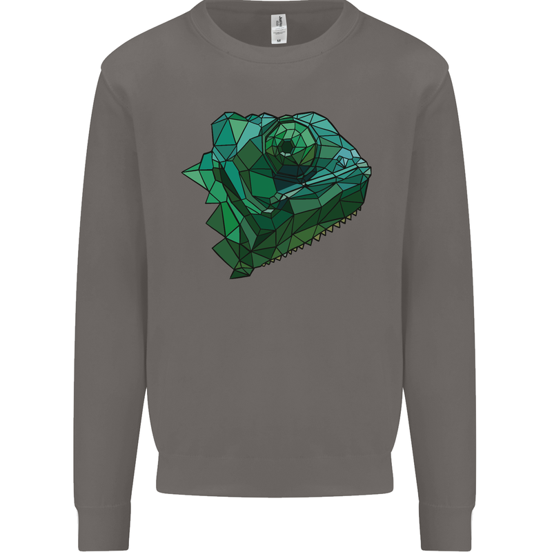 A Polygonal Chameleon Mens Sweatshirt Jumper Charcoal