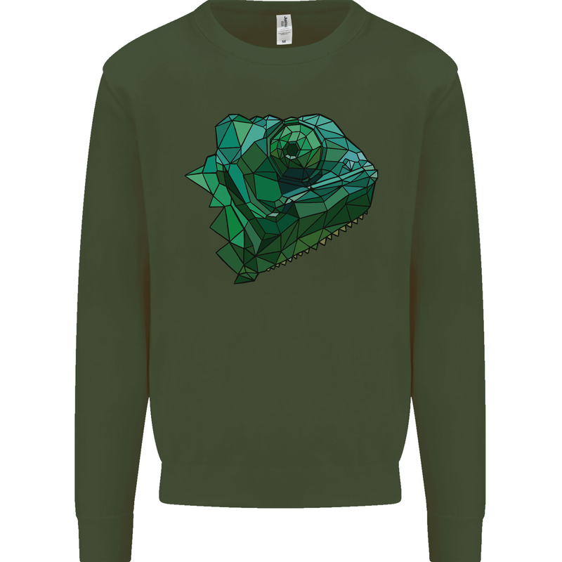 A Polygonal Chameleon Mens Sweatshirt Jumper Forest Green