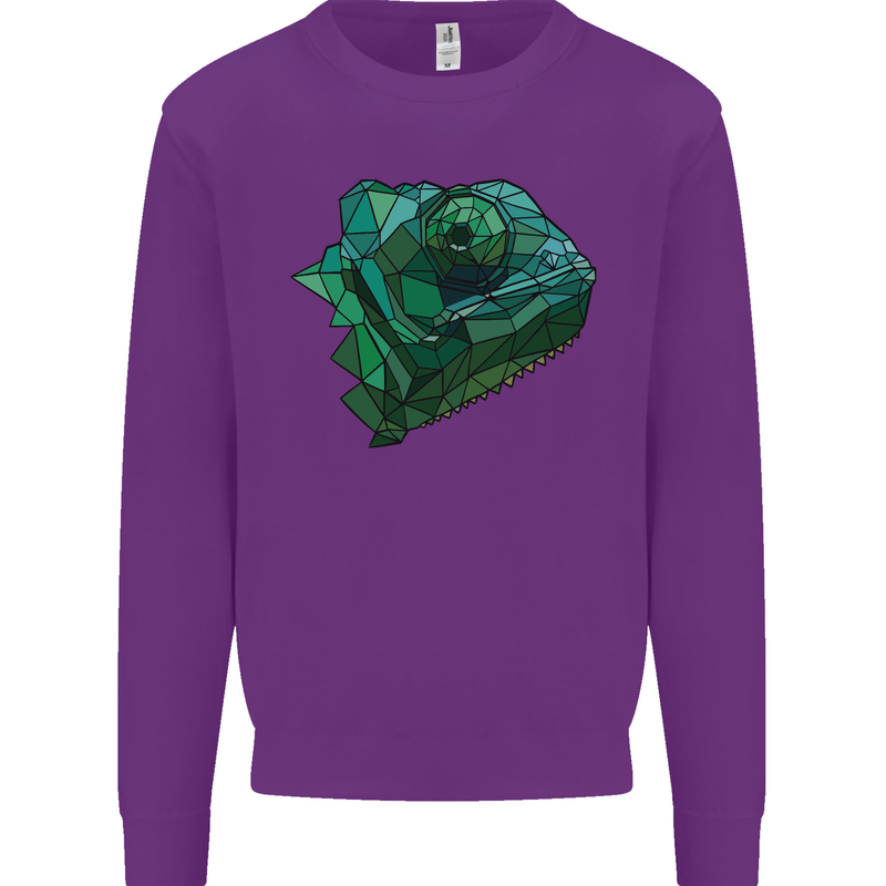 A Polygonal Chameleon Mens Sweatshirt Jumper Purple