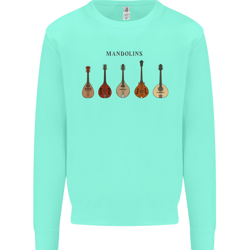 A Set of Mandolins Kids Sweatshirt Jumper Peppermint