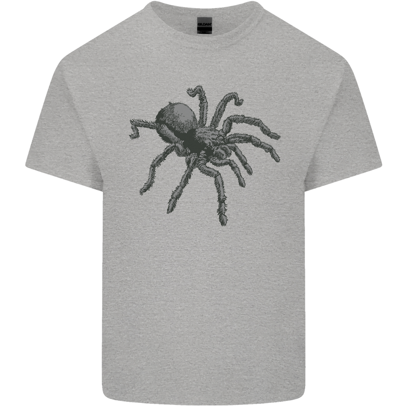 A Tarantula Spider Mens Cotton T-Shirt Tee Top Sports Grey
