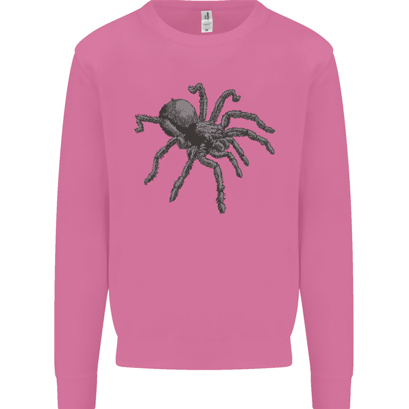 A Tarantula Spider Mens Sweatshirt Jumper Azalea
