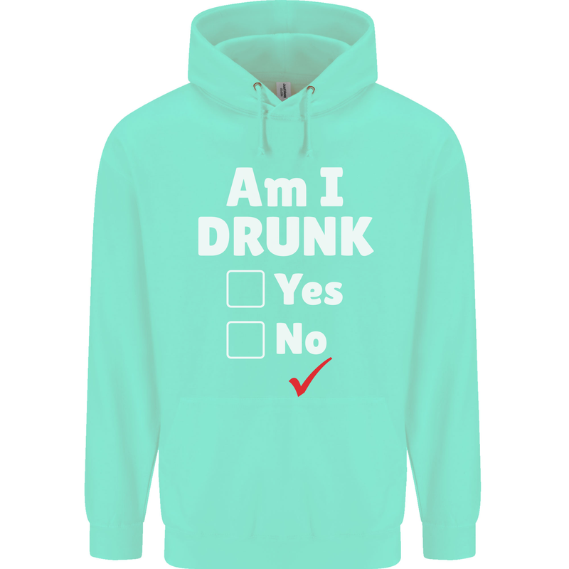 Am I Drunk Funny Beer Alcohol Wine Cider Guinness Childrens Kids Hoodie Peppermint