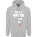 Am I Drunk Funny Beer Alcohol Wine Cider Guinness Childrens Kids Hoodie Sports Grey