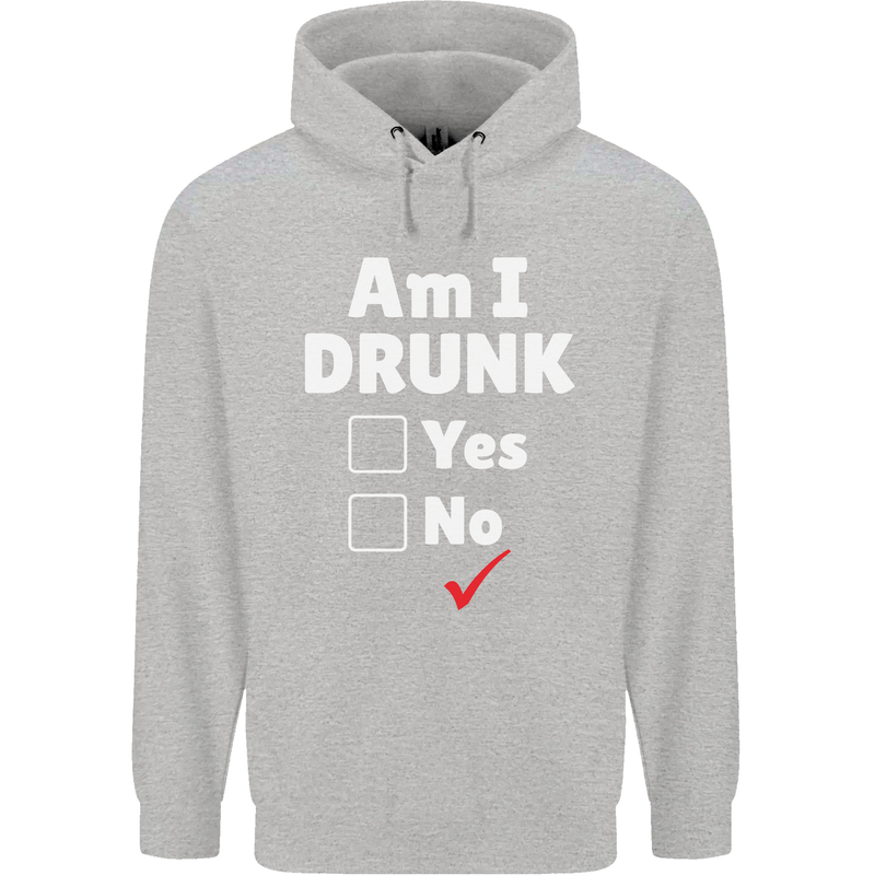 Am I Drunk Funny Beer Alcohol Wine Cider Guinness Childrens Kids Hoodie Sports Grey