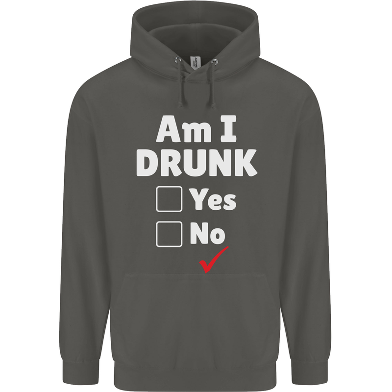 Am I Drunk Funny Beer Alcohol Wine Cider Guinness Childrens Kids Hoodie Storm Grey