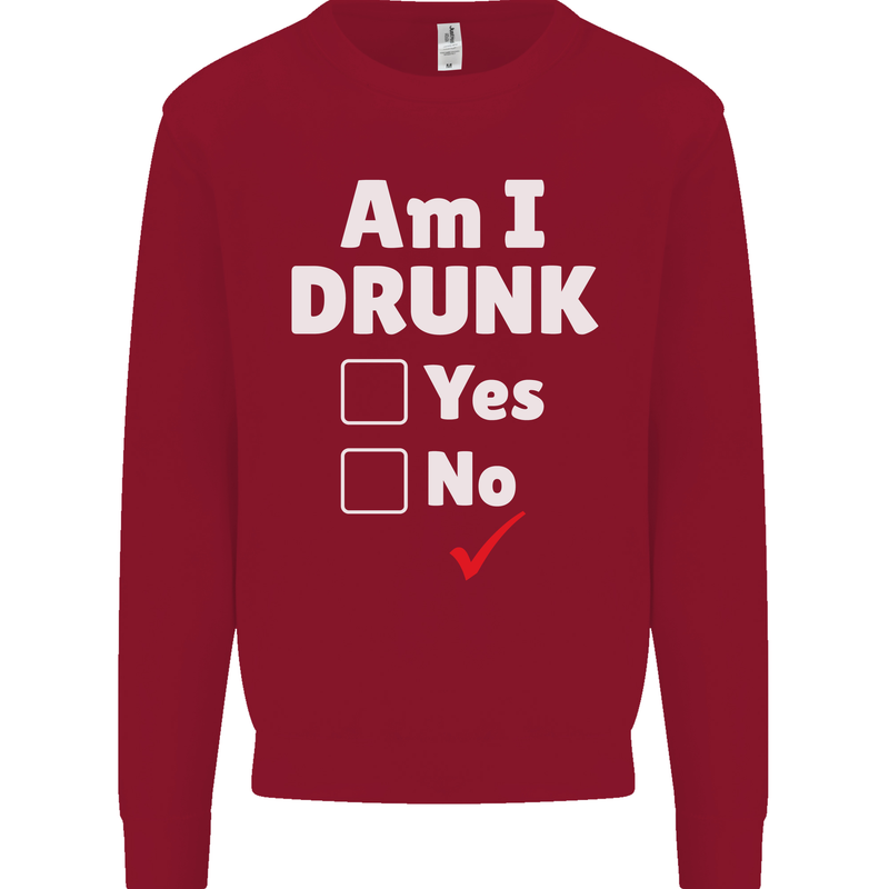 Am I Drunk Funny Beer Alcohol Wine Cider Guinness Kids Sweatshirt Jumper Red