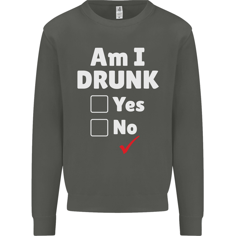 Am I Drunk Funny Beer Alcohol Wine Cider Guinness Kids Sweatshirt Jumper Storm Grey