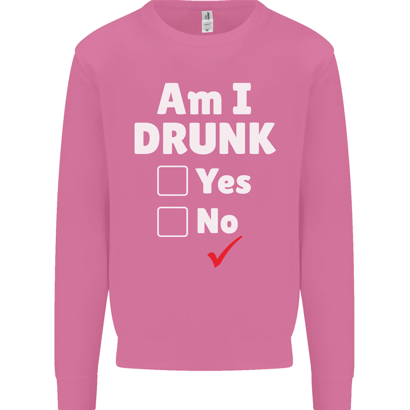 Am I Drunk Funny Beer Alcohol Wine Cider Guinness Mens Sweatshirt Jumper Azalea