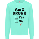 Am I Drunk Funny Beer Alcohol Wine Guiness Kids Sweatshirt Jumper Peppermint