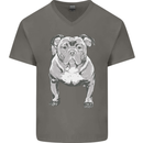American Bully Striking a Pose Dog Mens V-Neck Cotton T-Shirt Charcoal