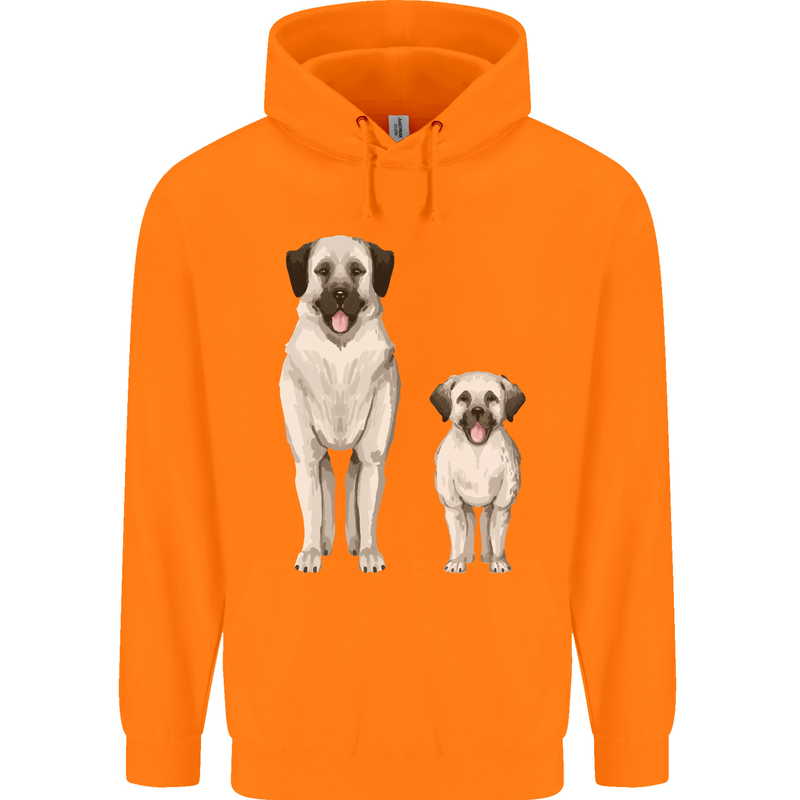 Anatolian Shepherd Dog and Puppy Childrens Kids Hoodie Orange