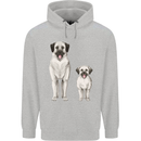 Anatolian Shepherd Dog and Puppy Childrens Kids Hoodie Sports Grey