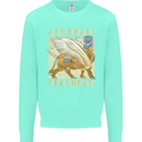 Anunaki Descendant Ancient Egyptian God Egypt Kids Sweatshirt Jumper Peppermint
