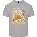 Anunaki Descendant Ancient Egyptian God Egypt Mens Cotton T-Shirt Tee Top Sports Grey