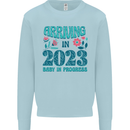 Arriving 2023 New Baby Pregnancy Pregnant Kids Sweatshirt Jumper Light Blue