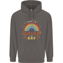 Asian and Gay Funny Gaysian LGBT Pride Mens 80% Cotton Hoodie Charcoal