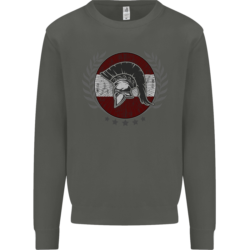 Austria Bodybuilding Flag Gym Training Austrian Kids Sweatshirt Jumper Storm Grey