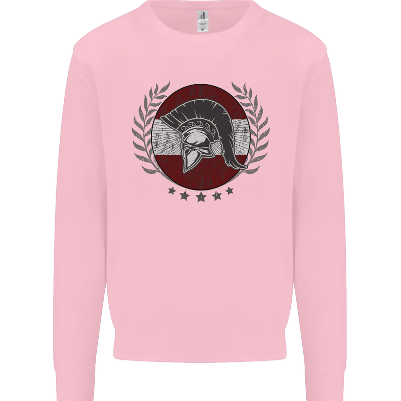 Austria Bodybuilding Flag Gym Training Austrian Mens Sweatshirt Jumper Light Pink
