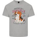 Beagle Anatomy Funny Dog Kids T-Shirt Childrens Sports Grey