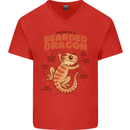 Bearded Dragon Anatomy Lizards, Reptiles, Mens V-Neck Cotton T-Shirt Red