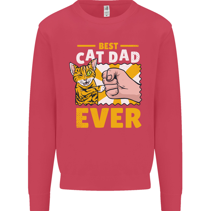 Best Cat Dad Ever Funny Fathers Day Kids Sweatshirt Jumper Heliconia