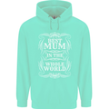 Best Mum in the World Mothers Day Childrens Kids Hoodie Peppermint