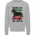 Born to be Wild Horse Riding Equestrian Kids Sweatshirt Jumper Sports Grey