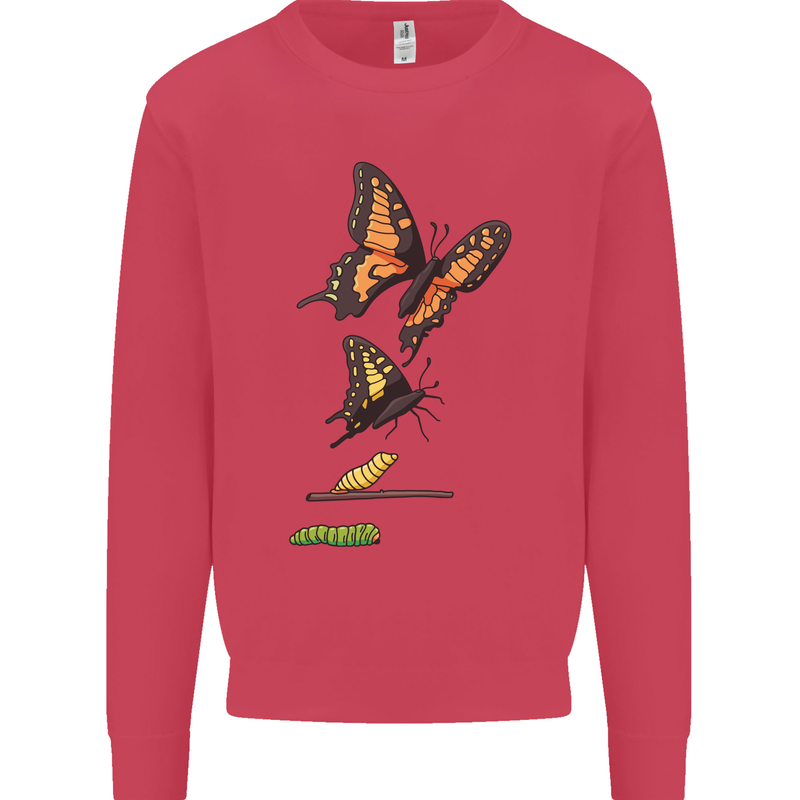 Butterfly Evolution Caterpillar Butterflies Kids Sweatshirt Jumper Heliconia