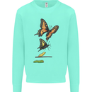 Butterfly Evolution Caterpillar Butterflies Kids Sweatshirt Jumper Peppermint