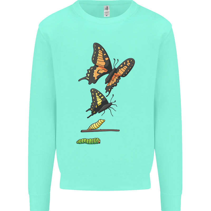 Butterfly Evolution Caterpillar Butterflies Kids Sweatshirt Jumper Peppermint
