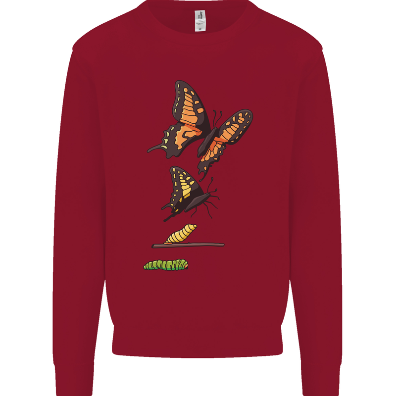 Butterfly Evolution Caterpillar Butterflies Kids Sweatshirt Jumper Red