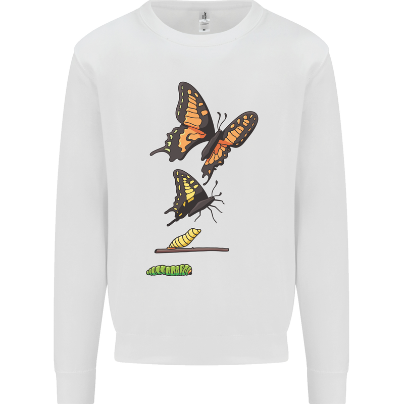 Butterfly Evolution Caterpillar Butterflies Kids Sweatshirt Jumper White