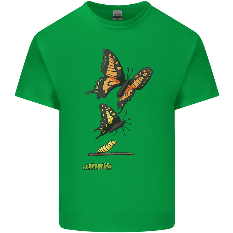 Butterfly Evolution Caterpillar Butterflies Kids T-Shirt Childrens Irish Green